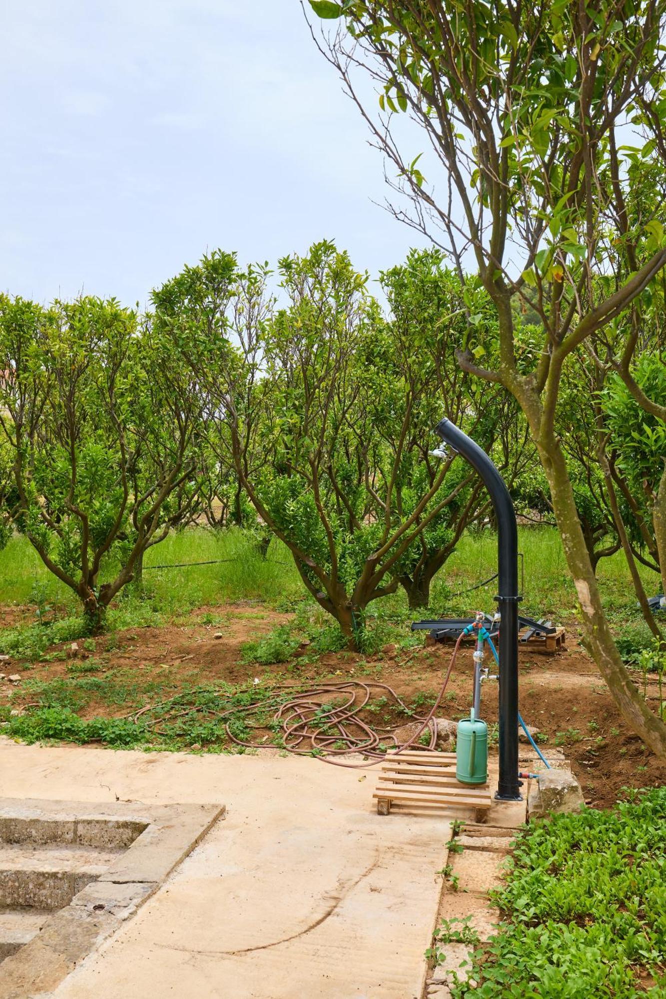 Beloc House Lopud Island Διαμέρισμα Εξωτερικό φωτογραφία