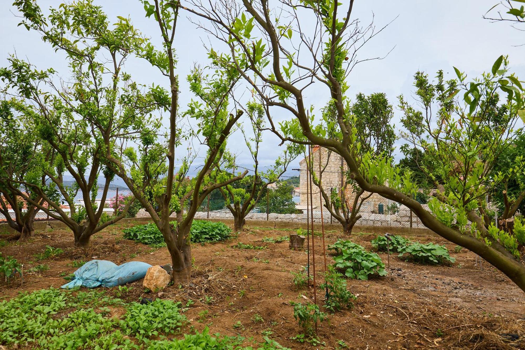 Beloc House Lopud Island Διαμέρισμα Εξωτερικό φωτογραφία